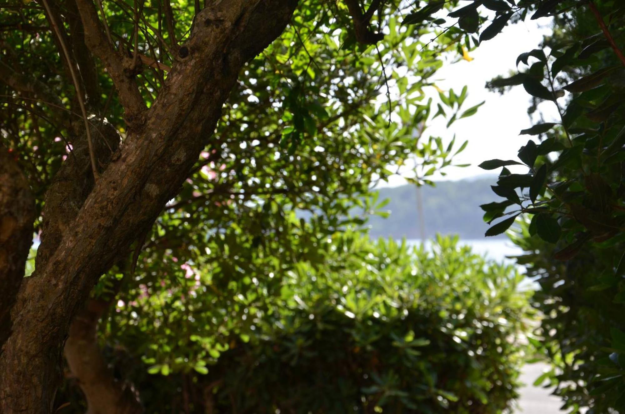 Fantastic Sardinia Villette Con Giardino Fronte Mare Fertilia Faho-Gav01-Gav02 Экстерьер фото
