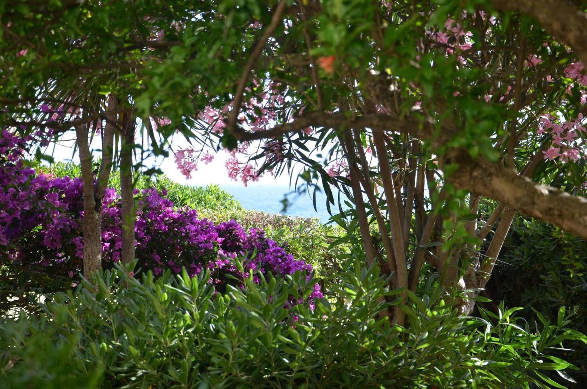 Fantastic Sardinia Villette Con Giardino Fronte Mare Fertilia Faho-Gav01-Gav02 Экстерьер фото
