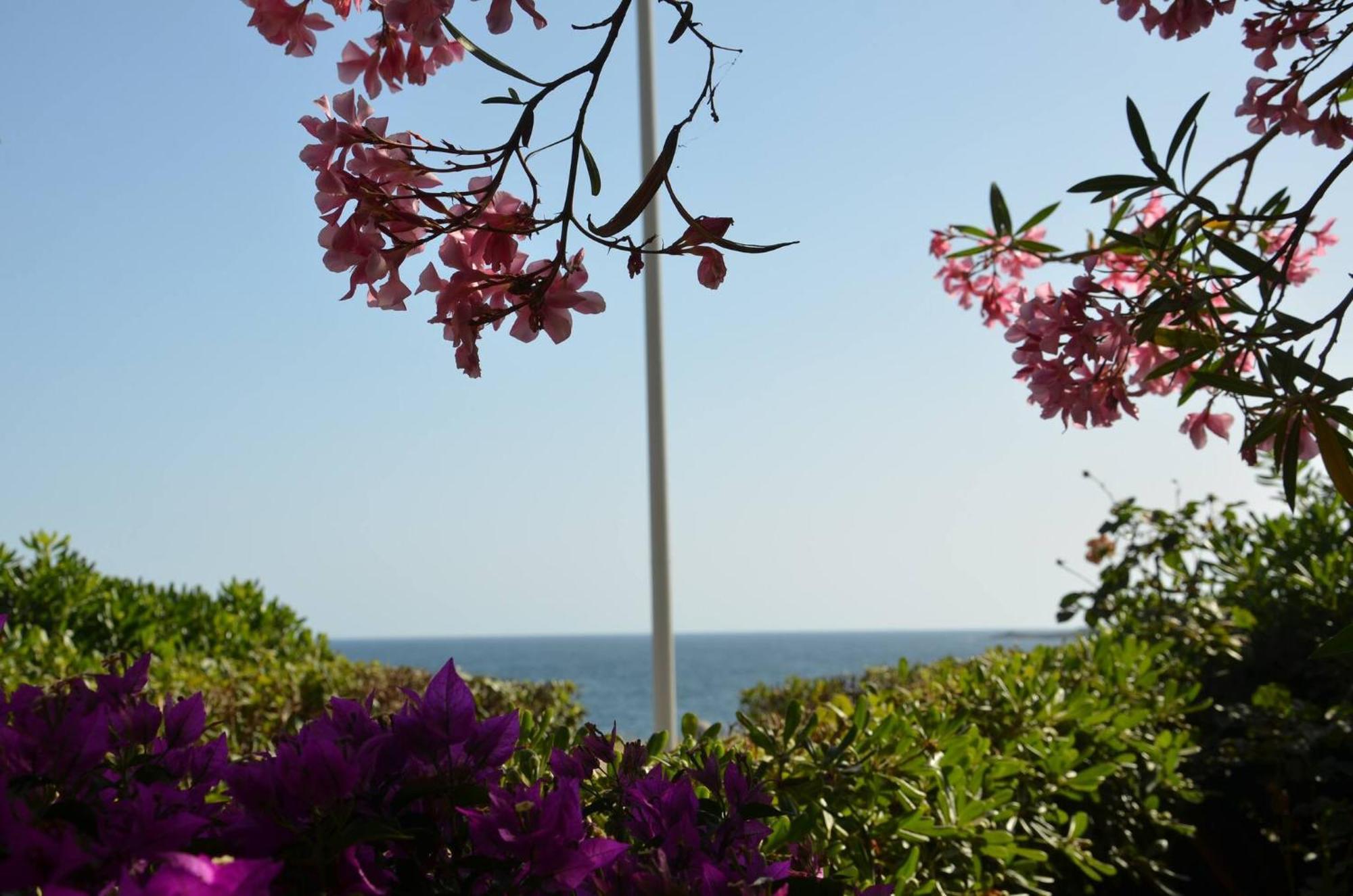 Fantastic Sardinia Villette Con Giardino Fronte Mare Fertilia Faho-Gav01-Gav02 Экстерьер фото