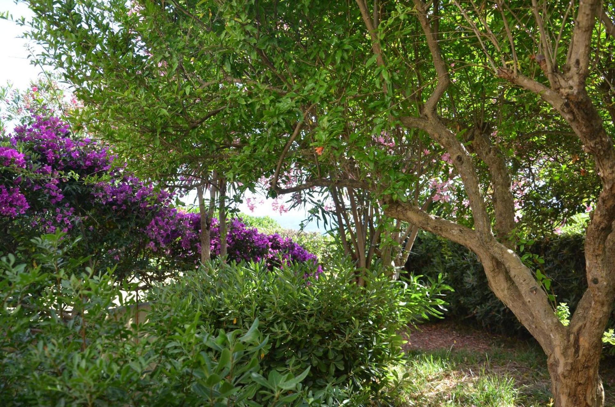 Fantastic Sardinia Villette Con Giardino Fronte Mare Fertilia Faho-Gav01-Gav02 Экстерьер фото