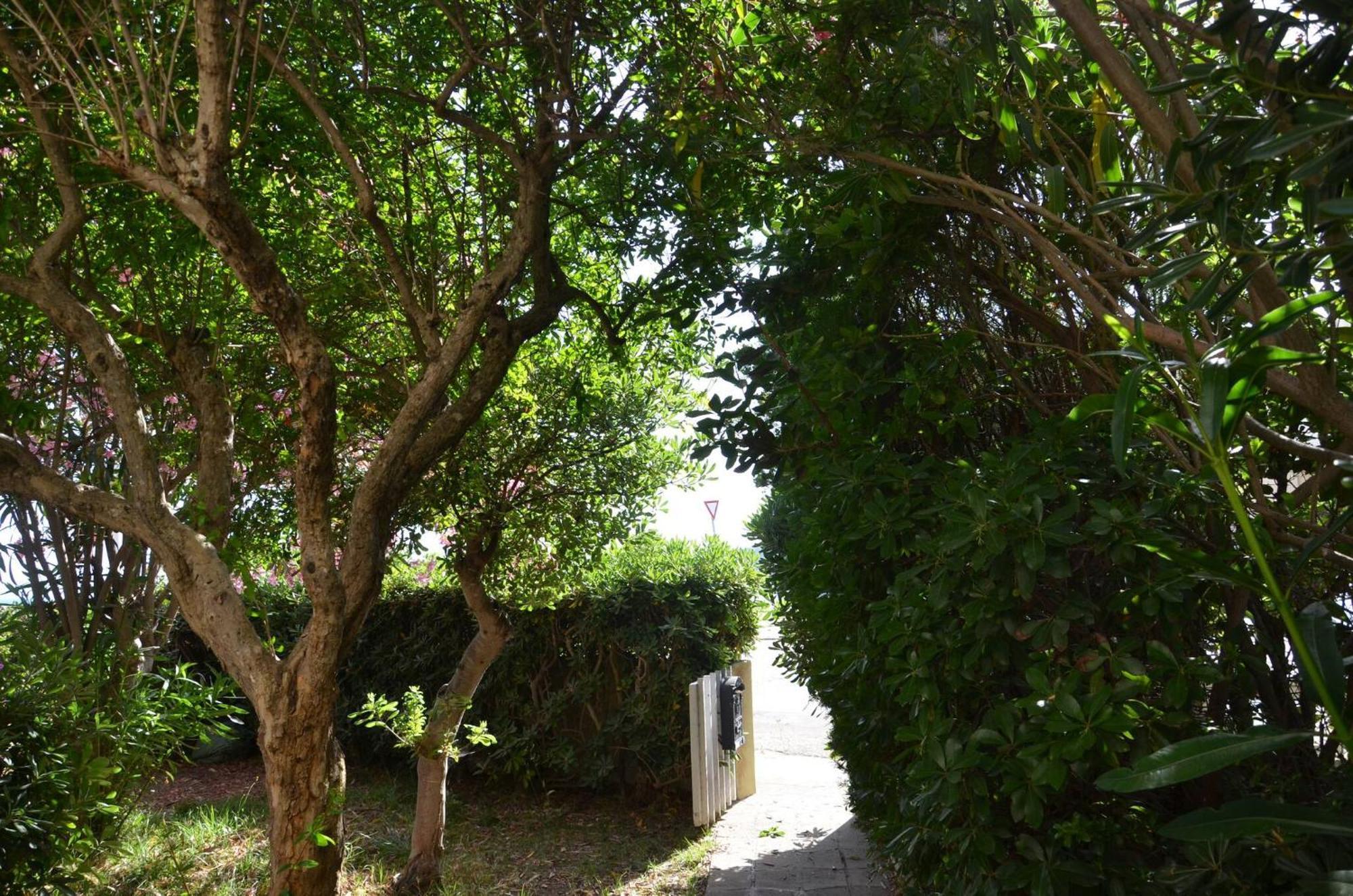 Fantastic Sardinia Villette Con Giardino Fronte Mare Fertilia Faho-Gav01-Gav02 Экстерьер фото