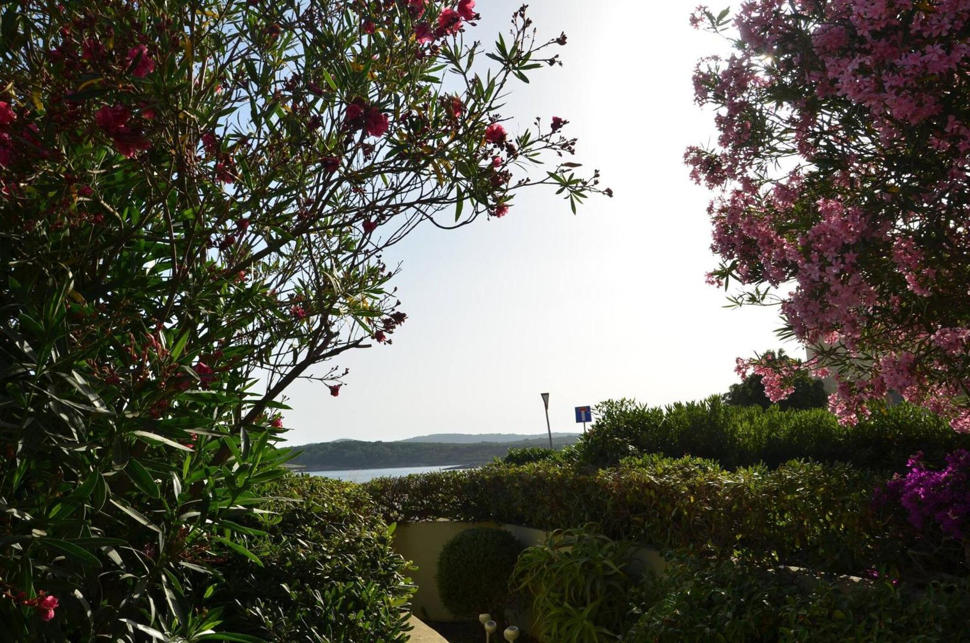 Fantastic Sardinia Villette Con Giardino Fronte Mare Fertilia Faho-Gav01-Gav02 Экстерьер фото