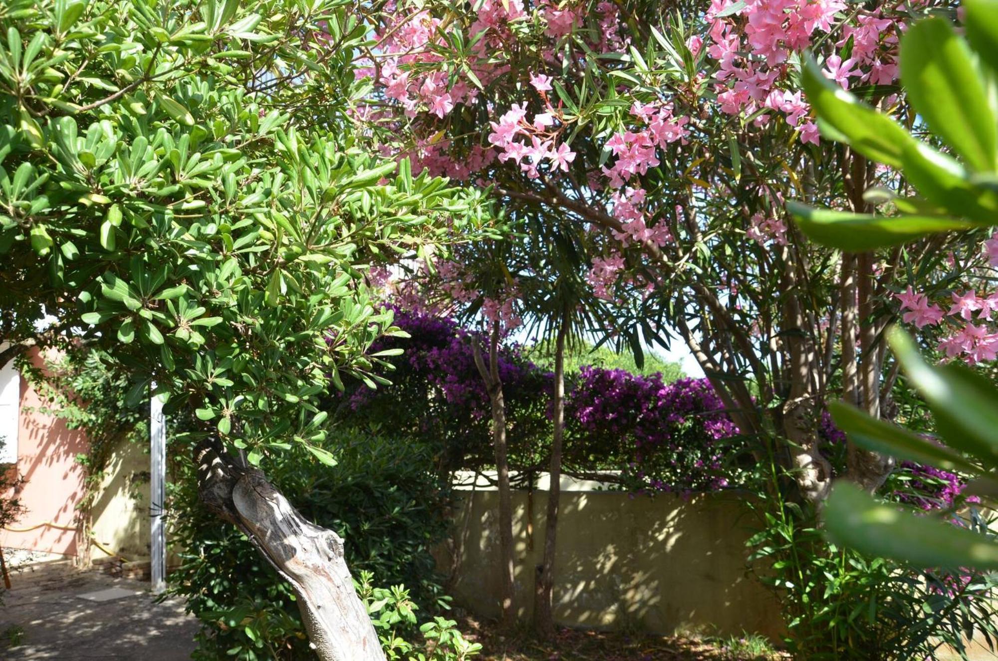 Fantastic Sardinia Villette Con Giardino Fronte Mare Fertilia Faho-Gav01-Gav02 Экстерьер фото