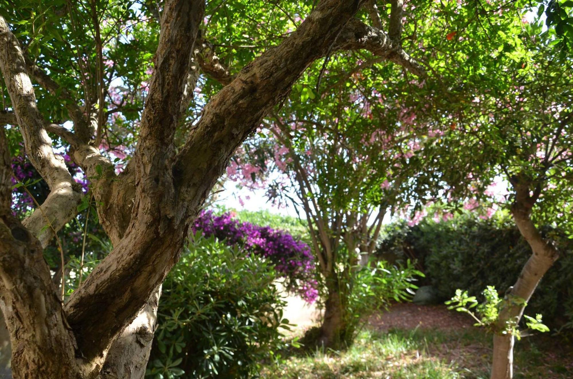 Fantastic Sardinia Villette Con Giardino Fronte Mare Fertilia Faho-Gav01-Gav02 Экстерьер фото